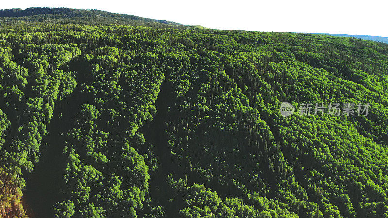 Breezy Sunny Summer Day Aerial and Landscapes of Grand Mesa National Forest